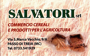 Logo SALVATORI SRL