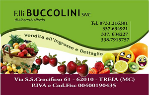 Logo Buccolini
