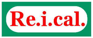Logo REICAL